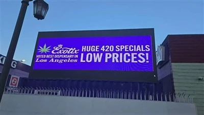 Step-by-Step Guide to Waterproofing Outdoor LED Screens Step-by-Step Guide to Waterproofing Outdoor LED Screens